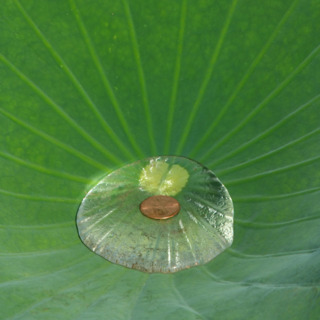 thumb iStock 000002113946Small